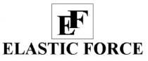 EF ELASTIC FORCE
