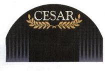 CESAR