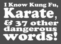 I KNOW KUNG FU, KARATE, & 37 OTHER DANGEROUS WORDS!