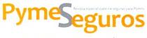 PYME SEGUROS REVISTA ESPECIALIZADA EN SEGUROS PARA PYMES