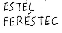 ESTEL FERESTEC