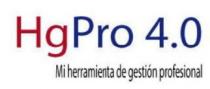 HG PRO 4.0 MI HERRAMIENTA DE GESTION PROFESIONAL