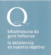 Q BIKAINTASUNA DA GURE HELBURUA LA EXCELENCIA ES NUESTRO OBJETIVO