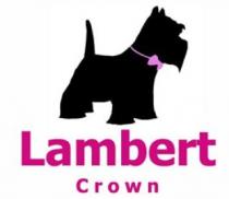 LAMBERT CROWN