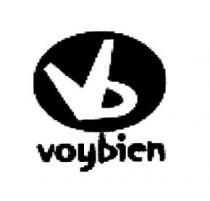 VB VOYBIEN