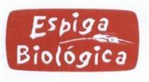 ESPIGA BIOLOGICA