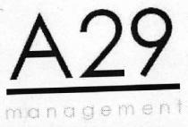 A29 MANAGEMENT
