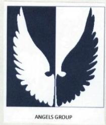 ANGELS GROUP