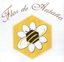 FLOR DE ANTAÑO