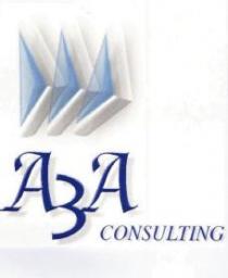 A3A CONSULTING