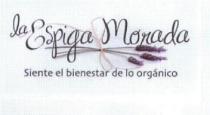 LA ESPIGA MORADA SIENTE EL BIENESTAR DE LO ORGANICO