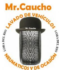 MR CAUCHO LAVADO DE VEHICULOS LORA DEL RIO NEUMATICOS Y DE OCASION