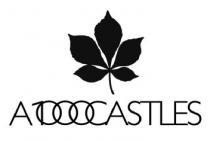 A1000CASTLES