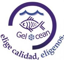 GELOCEAN ELIGE CALIDAD, ELIGENOS.
