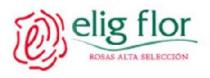 ELIG FLOR ROSAS ALTA SELECCION
