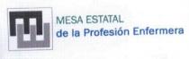 MESA ESTATAL DE LA PROFESION ENFERMERA