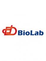 DD BIOLAB