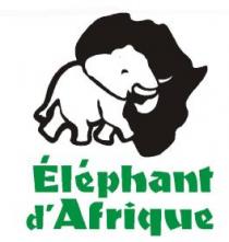 ELEPHANT D'AFRIQUE