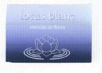 LOTUS BLANC ESENCIAS DE FLORES