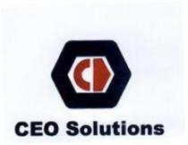 CEO SOLUTIONS