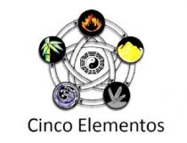 CINCO ELEMENTOS