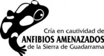 CRIA EN CAUTIVIDAD DE ANFIBIOS AMENAZADOS DE LA SIERRA DE GUADARRAMA