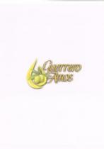 GUERRERO AMOS