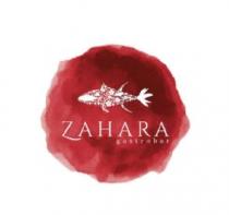 ZAHARA GASTROBAR