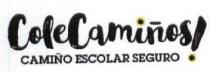 COLECAMIÑOS! CAMIÑO ESCOLAR SEGURO