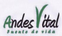 ANDES VITAL FUENTE DE VIDA