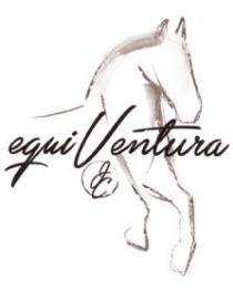EQUI VENTURA