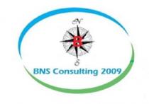 BNS CONSULTING 2009