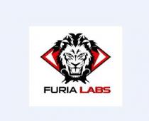 FURIA LABS