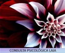 CONSULTA PSICOLOGICA LAIA