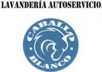 LAVANDERIA AUTOSERVICIO CABALLO BLANCO