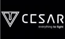 CESAR EVERYTHING TO FIGHT