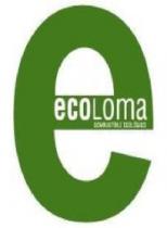 E ECOLOMA COMBUSTIBLE ECOLOGICO