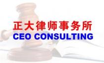 CEO CONSULTING