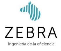 ZEBRA INGENIERIA DE LA EFICIENCIA
