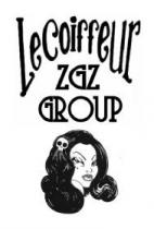 LE COIFFEUR ZGZ GROUP