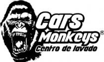 CARS MONKEYS CENTRO DE LAVADO