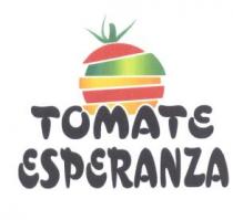 TOMATE ESPERANZA