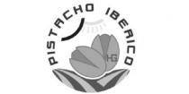 PISTACHO IBERICO HG