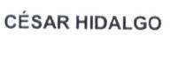 CESAR HIDALGO