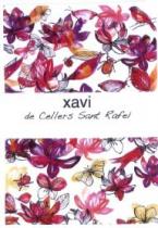 XAVI DE CELLERS SANT RAFEL