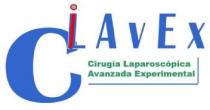 CILAVEX CIRUGIA LAPAROSCOPICA AVANZADA EXPERIMENTAL