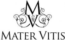 MV MATER VITIS