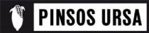 PINSOS URSA