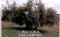 AGRICOLA LAS LABORES