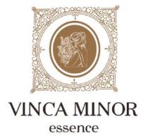 VINCA MINOR ESSENCE